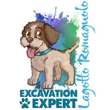 Excavation Expert | Lagotto Romagnolo