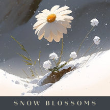Snow Blossoms