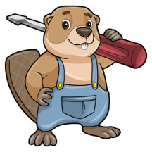 Mechanic - Craftsman