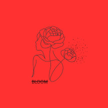 Creative Vibes Collection