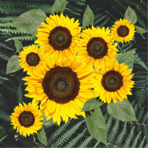  CARDS  for any person (Editable)