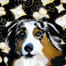 Australian Shepherd