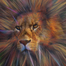 Lion in the Gallery