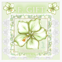 Hibiscus & lace WHITE f.gifts