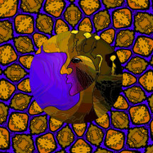 Gorgeous Tanks and Vests and T's