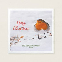 Red Robin in snow - A Christmas collection
