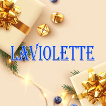 Laviolette_Name T-Shirt