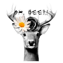 Inspirational Expressions