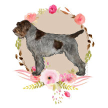 Wirehaired Pointing Griffon