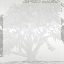 Yellow Grey and Silver Mossy Oak Wedding