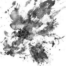 The Stamp Collection