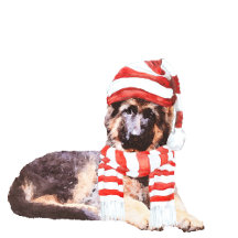 German Shepherd Christmas Stockings