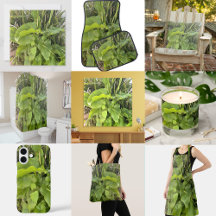 Backyard Garden Closeup Outdoor Nature Photo