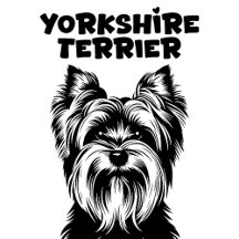 Yorkshie Terrier