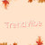 TrandVibe