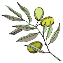 Elegant branches olive. Botanical Wedding.