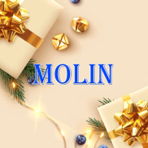 Molin_Name T-Shirt