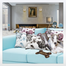 Pet Care And Pet Fancy