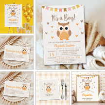 Adorable Owl Baby Shower  – 'It's a Boy'