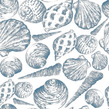 Seashells of summer vacances