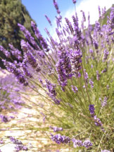 Idées cadeaux pour hommes 