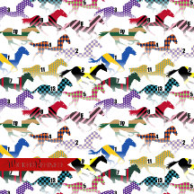 Off to the Horse Races Jockey Silk Pattern