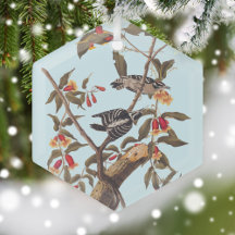 Audubon Bird Christmas Ornaments