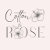 Cotton Rose