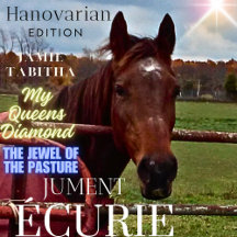 MAGAZINE COVERS COLLECTION