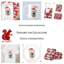 Fun Capybara Winter Holidays