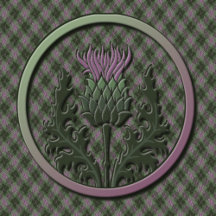 Scottish Thistle