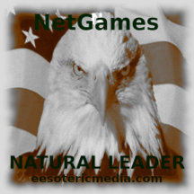 NetGames: Natural Leader