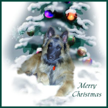 Belgian Tervuren Christmas Gift Ideas