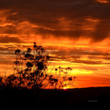  Sunset Canvas Prints