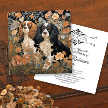 Cavalier King Charles Spaniel