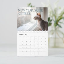 Sphynx Speaks Monthly Cat Humor 