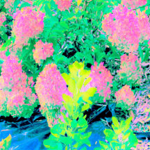 Pink Hydrangea Garden with Yellow Foliage