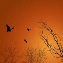 Halloween Bats & Trees Collection