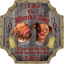 Newt and Picasso Merch