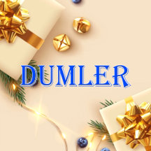 Dumler_Name T-Shirt