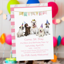 Pet Birthday Dog Partys