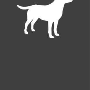 Labrador Baby Shower Gender Neutral Labrador Einladung