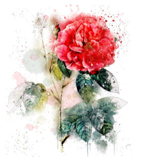 Shabby Chic-Rose Hochzeitsticker Quadratischer Aufkleber