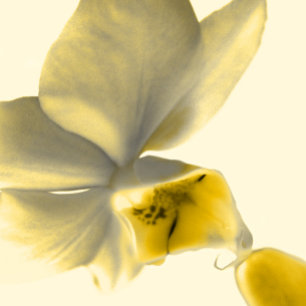 Künstlerische Blume in Gelbtönen - Hochzeit Einladung