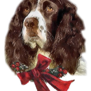 Englischer Springerspaniel-Weihnachtsgeschenke Feiertagskarte
