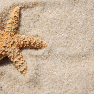 Hochzeit in Urlaubsort Einladung: Starfish in Sand Einladung