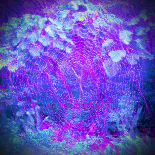 Spooky Weaver (orange), flexibles Foto Magnet