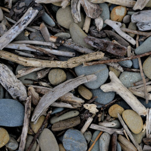 Strandsteine Driftwood Wedding Einladung