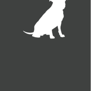 Pit Bull Baby Duwer Gender Neutral Pitbull Einladung