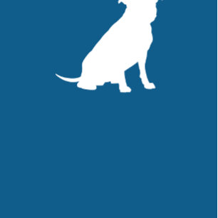 Pit Bull Dog Baby Dusche Blue Boy Pitbull Einladung